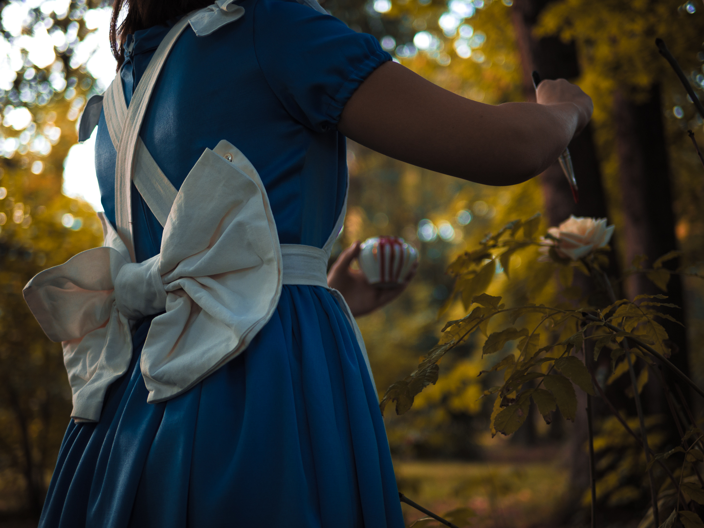 Noeud du costume d'Alice