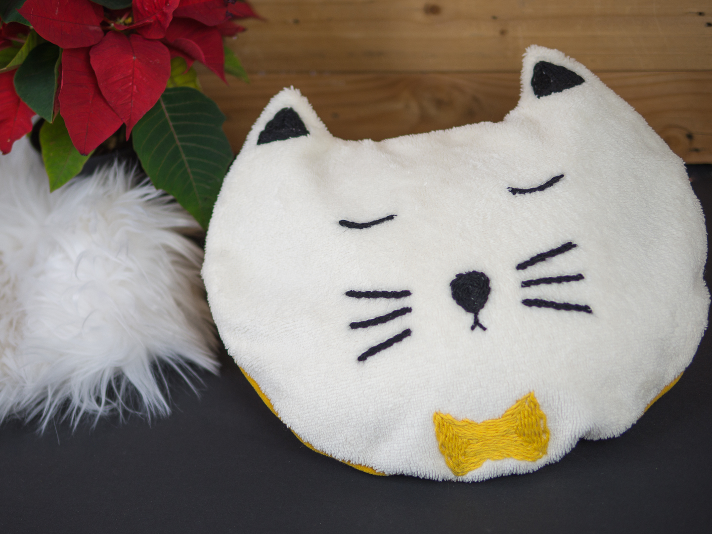 Chabouille la bouillotte des chats frileux