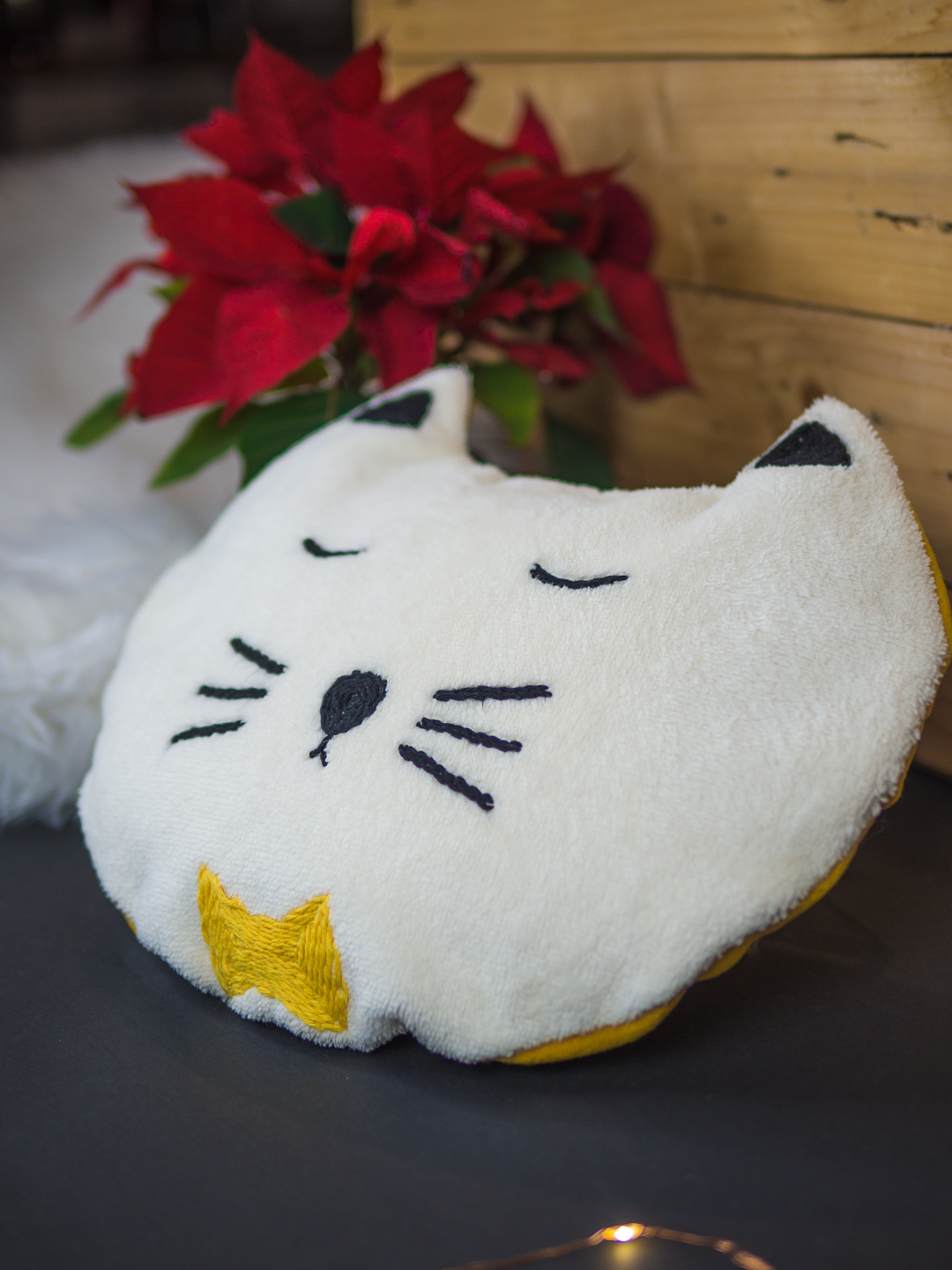 Chabouille la bouillotte des chats frileux